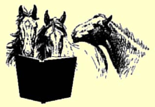 horses reading book